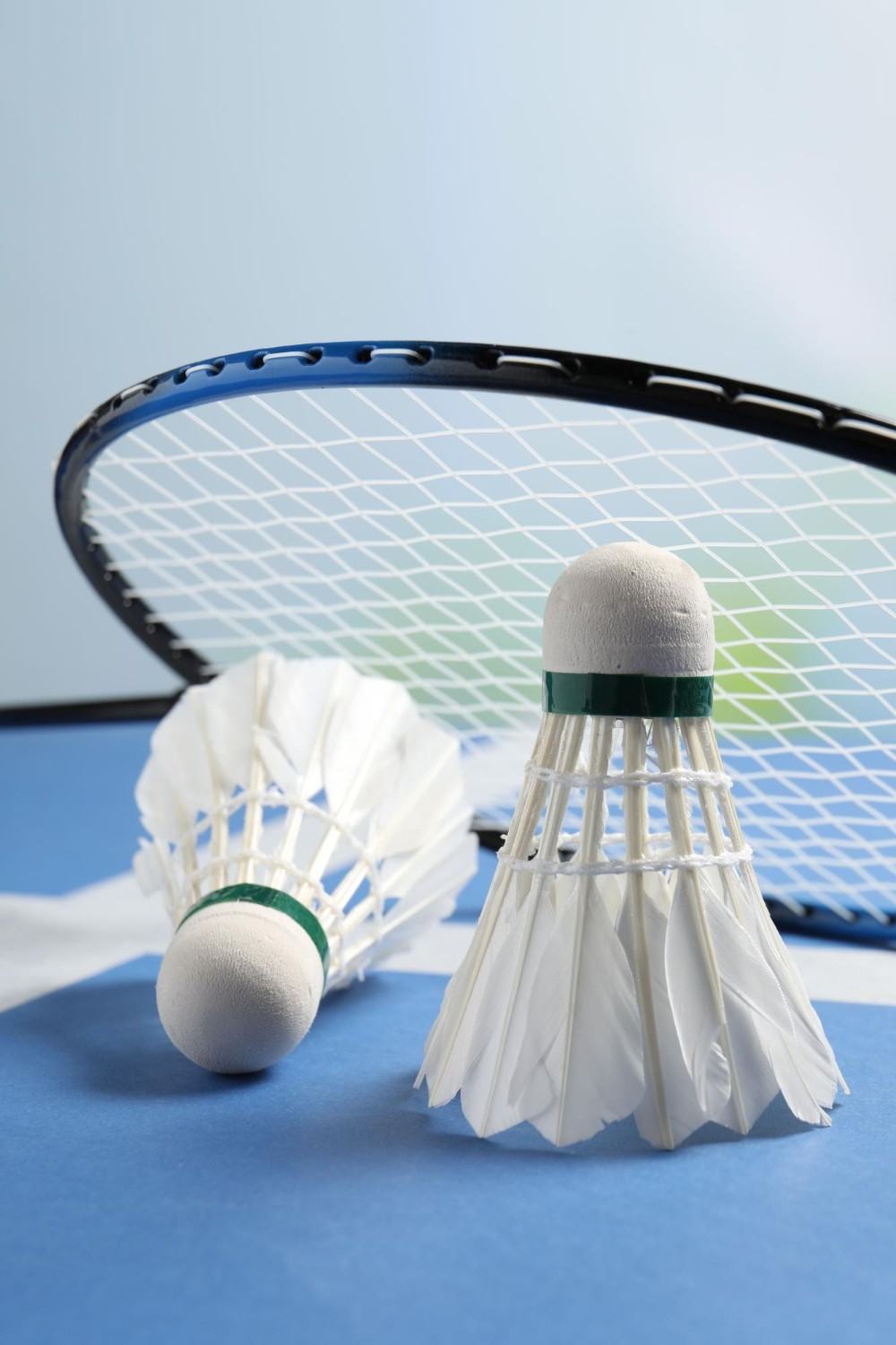 Badminton - Website-100kb